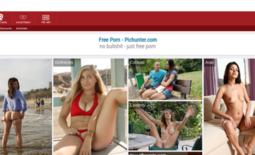 PicHunter