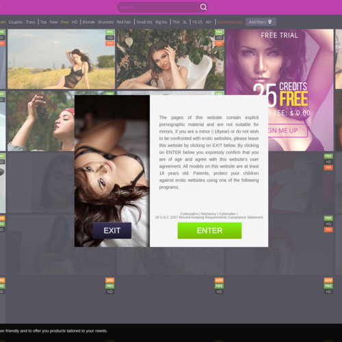 Xcams
